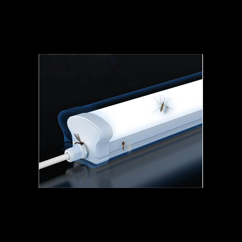  12/2000  Integrated three-proof light