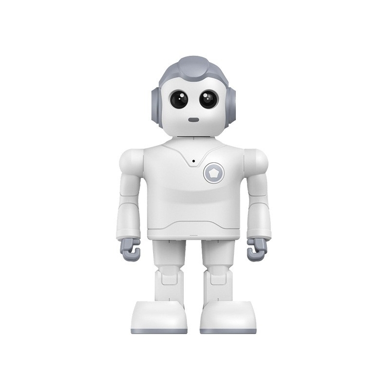 Smart robot