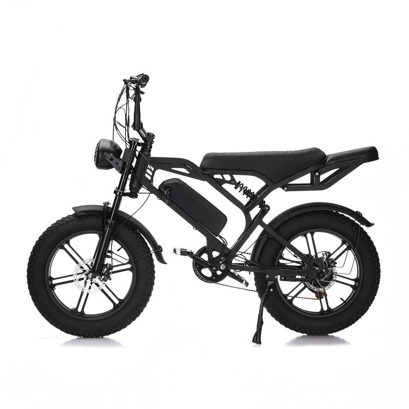 20-inch lithium battery snow off-road fat tire electric power-assisted mountain bike
