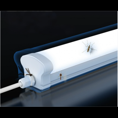  12/2000  Integrated three-proof light