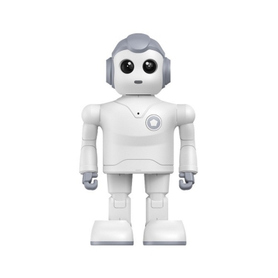 Smart robot