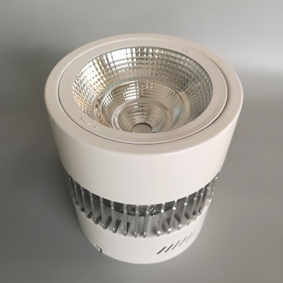 LED100W surface mounted downlight;