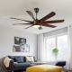Ceiling fan light