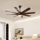 Ceiling fan light