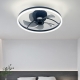 LED fan light