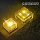 Solar ice brick light