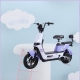 Electric two-wheeler  
