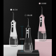 Piston pump water flosser