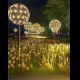 LED dandelion light