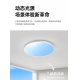 LED ceiling mirror light