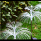 Solar fiber optic jellyfish lamp