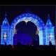 LED Christmas shape light