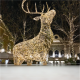 LED Christmas shape light